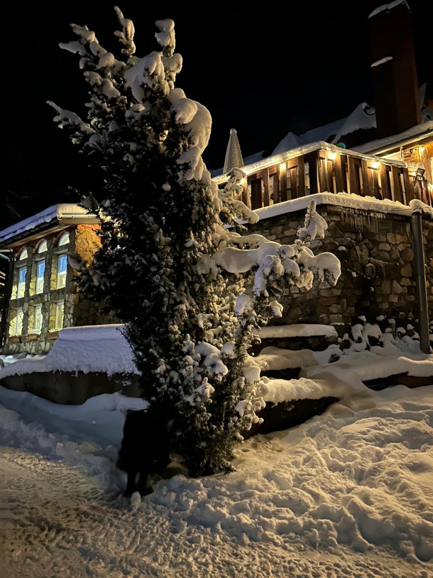 Mala Bawaria Hotel Zakopane Buitenkant foto
