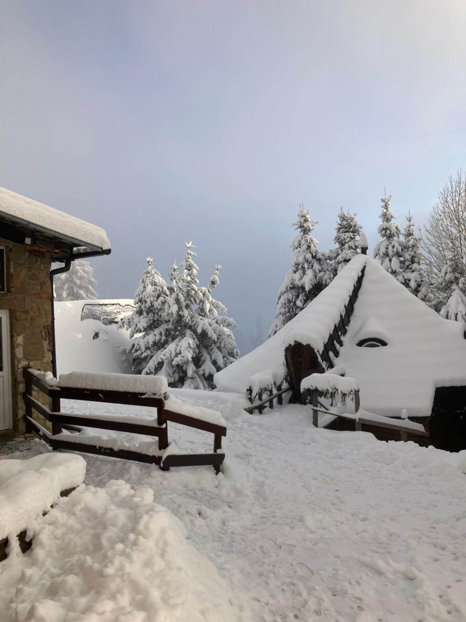 Mala Bawaria Hotel Zakopane Buitenkant foto