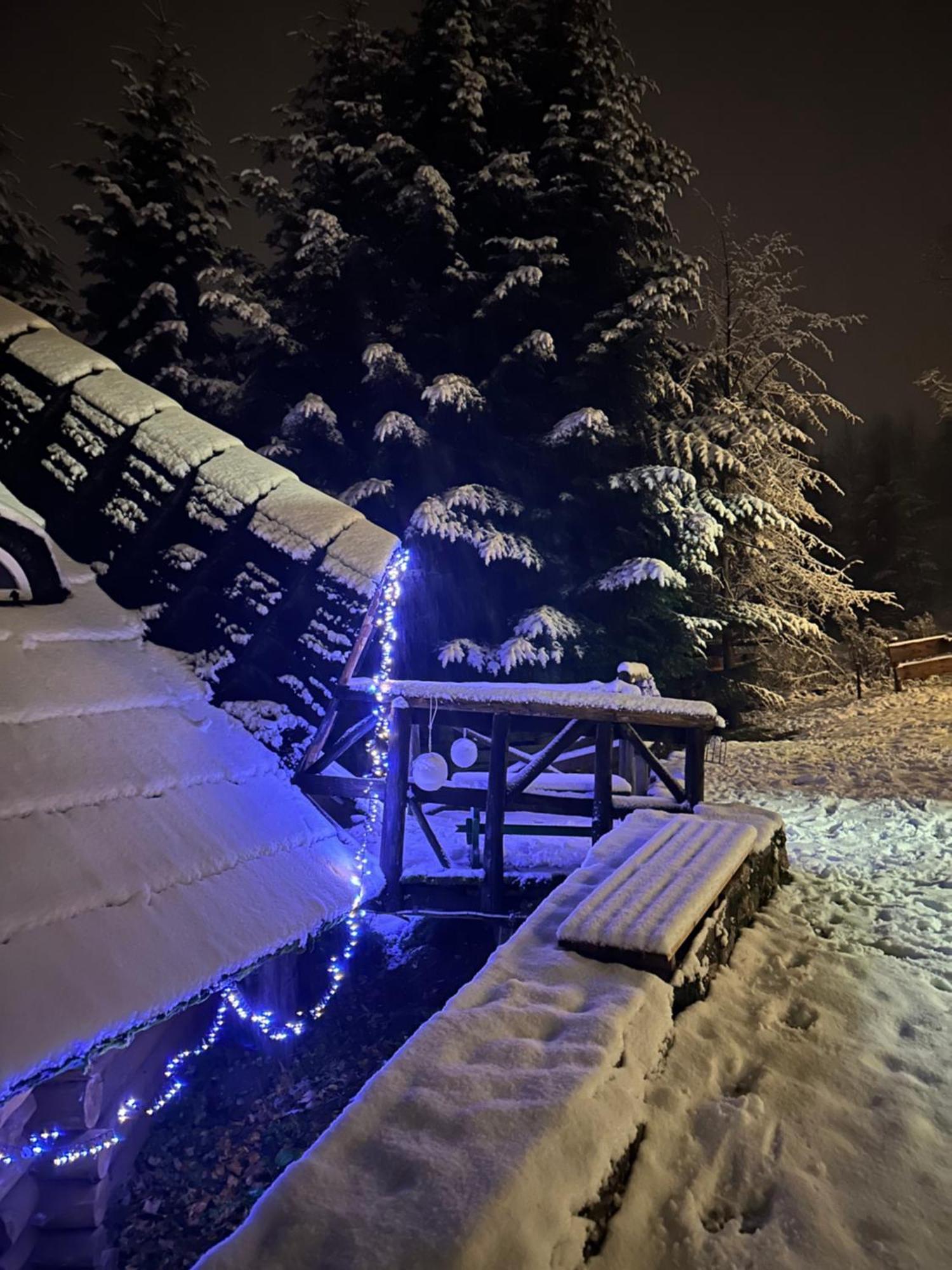 Mala Bawaria Hotel Zakopane Buitenkant foto